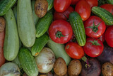 Organic vegetables on green grass on the farm. Growing organic products. Harvesting. Farming concept. Fresh crops, tomatoes harvest, carrot, potato, cucumbers, outdoors