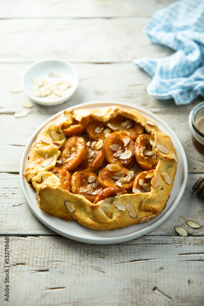 Traditional homemade apricot galette Traditional homemade apricot galette