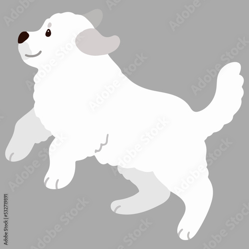 Simple and adorable Great Pyrenees Dog illustration jumping flat colored