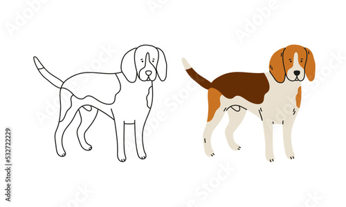 Cute beagle dog vector cartoon illustration. Hand-drawn dog in contemporary flat style, and line art. Cartoon animal, pet. The dog is standing.
