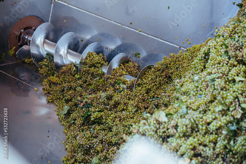 фотографія Green grapes in auger grape transportation machinery in modern winery