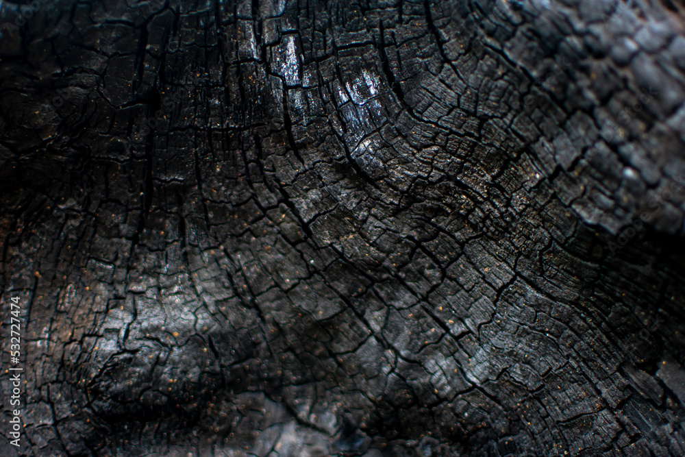 Fototapeta premium burnt wood