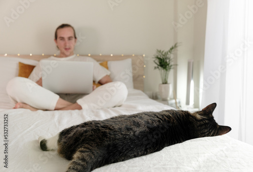Cat sleeping on bed and young man with laptop on background.