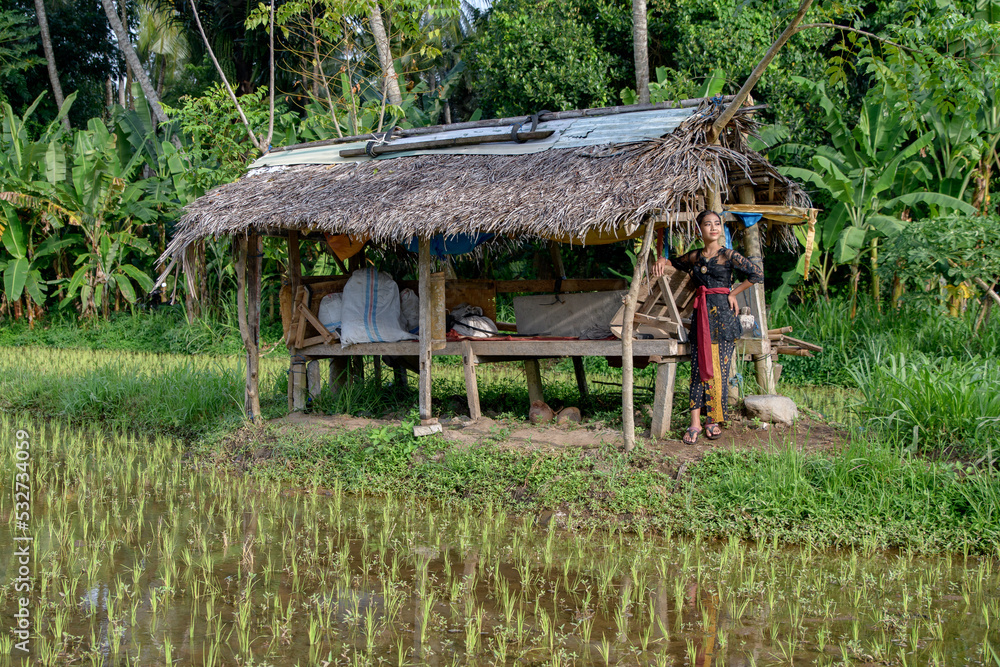 Asian young girl in green rice fields dressed in traditional clothes posing in front of a wooden house. Asian young girl in green rice fields dressed in traditional clothes posing in front of a wooden house.