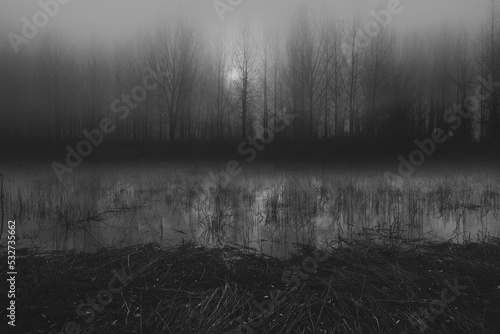 Dark winter landscape showing forest and swamp at winter sunset
