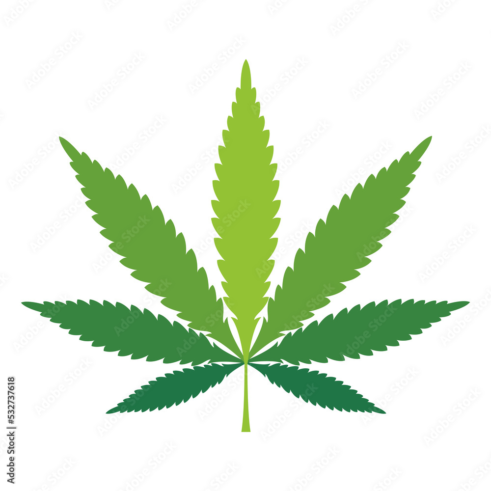 Marijuana leaf. Medical cannabis