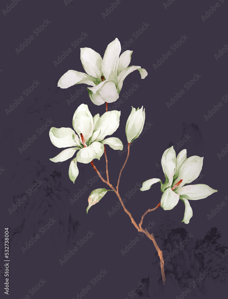 Obraz premium Hand painted magnolia, suitable for cards, fabrics, backgrounds
