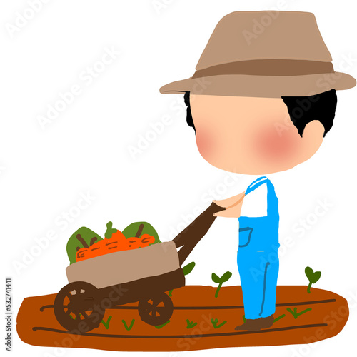 farmer harvesting carrots in the garden photo