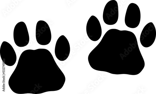 Panther wild animal paw prints wild cat step trail