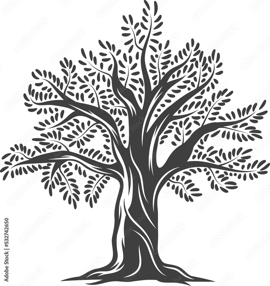 Obraz premium Oak tree or extra virgin olive oil plant symbol