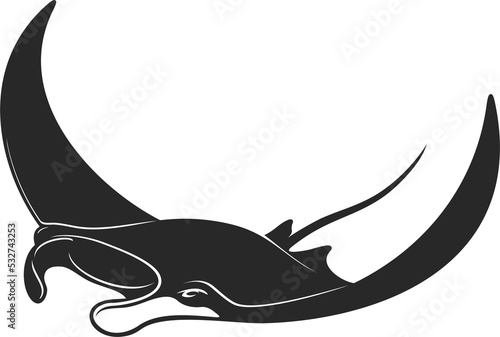 Manta underwater animal, giant devil ray