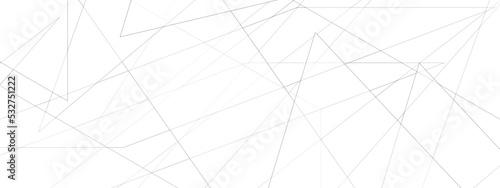 Abstract lines in black and white tone of many squares and rectangle shapes on white background. Metal grid isolated on the white background. nervures de feuilles mortes, fond rectangle and geometric