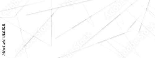 Abstract lines in black and white tone of many squares and rectangle shapes on white background. Metal grid isolated on the white background. nervures de feuilles mortes, fond rectangle and geometric