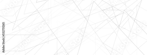 Abstract lines in black and white tone of many squares and rectangle shapes on white background. Metal grid isolated on the white background. nervures de feuilles mortes, fond rectangle and geometric