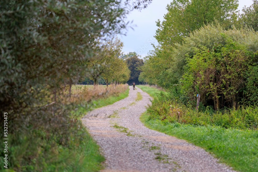 A hiker walks on a gravel field path with Nordic walking sticks between meadows and bushes towards the horizon.