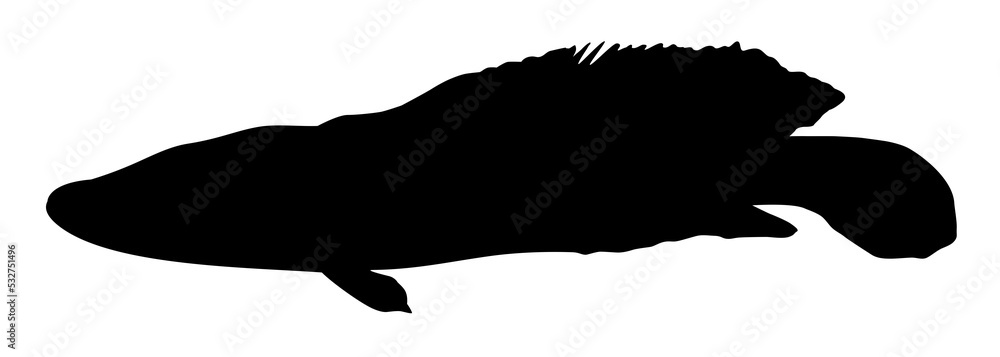 Snake Head Fish (freshwater perciform fish family Channidae) Silhouette for Logo, Pictogram or Graphic Design Element. Format PNG