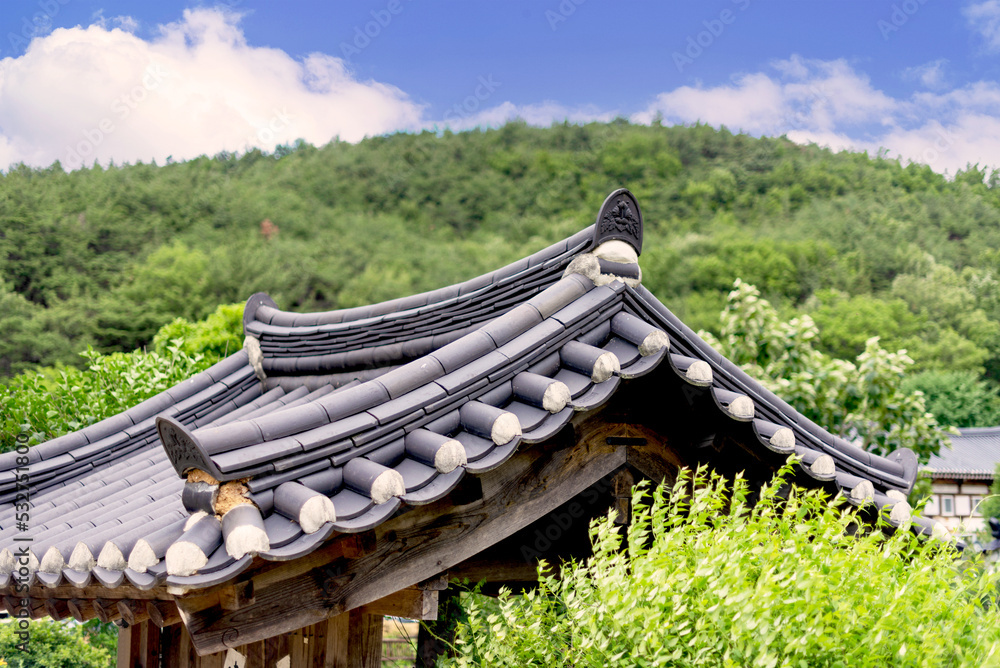 Fototapeta premium Korean Traditional Roof on a fine day
