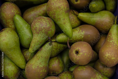 close-up of ripe organic pears after harvesting
