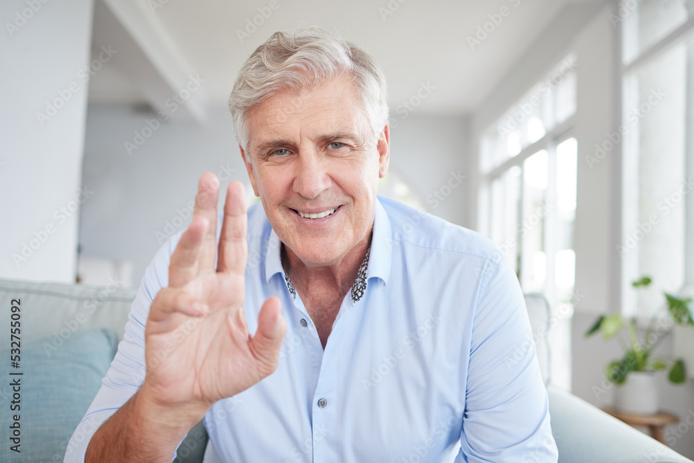 Video call portrait, senior greeting and man in communication on a webinar, virtual conference or meeting on the internet on living room sofa in home. Mature business person waving on web seminar