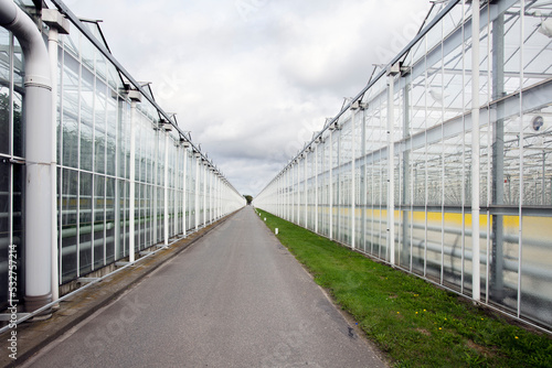Greenhouses in the Netherlands photo