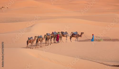 Camel caravan in the desert at sunrise -  Sahara, Morrocco © muratart