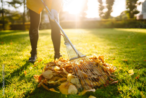 Rake and pile of fallen leaves on lawn in autumn park. Volunteering, cleaning, and ecology concept. Seasonal gardening. 