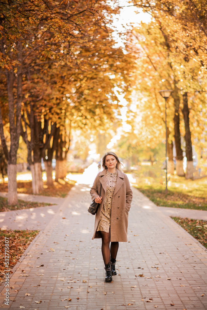 young stylish woman in an autumn coat walks around the city young stylish woman in an autumn coat walks around the city
