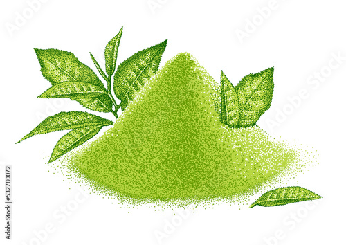 Matcha powder and leaves green tea. Japanese beverage. Shredded leaves for green tea drink. Sketch in vintage pointillism style. Engraved vector.