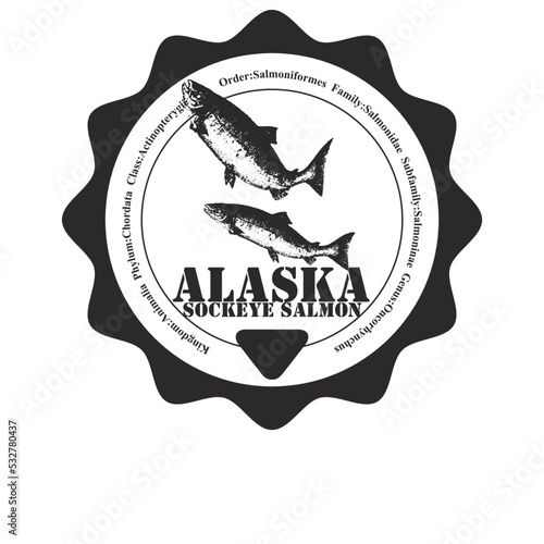 Alaska sockeye salmon image design with scientific classification.