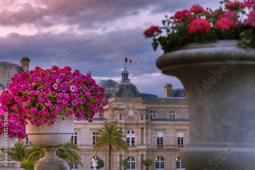 Luxembourg gardens and flower bed vase at dramatic dawn, Paris, France