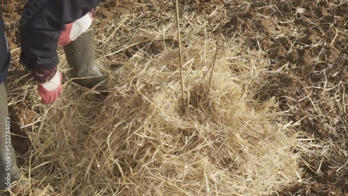 Wallpaper Mural people planting Tree In Field Torontodigital.ca