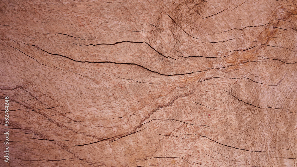 Fototapeta premium Dark wood texture with old natural patterns.