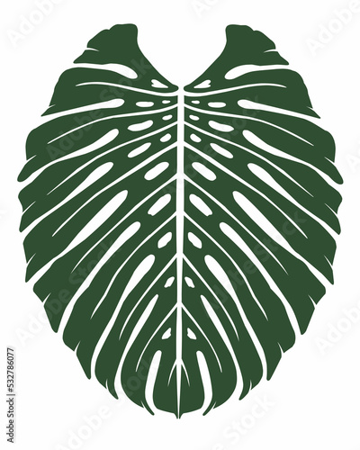 Monstera leaf silhouette
