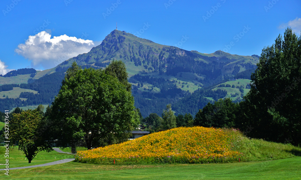 Kitzbüheler Horn bei Kitzbühel; Österreich; Tirol