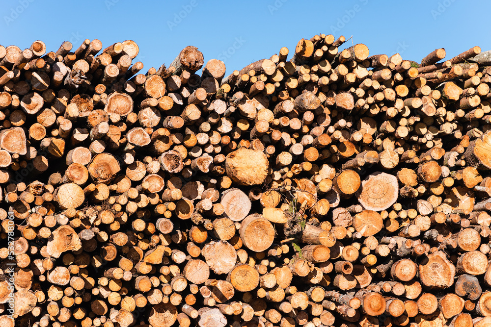 An alternative to expensive gas fuel.Pile of logs on a sunny summer day.firewood solid fuel found background.