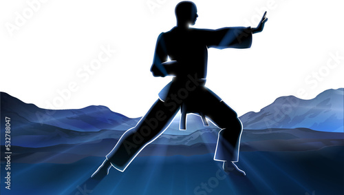 Karate Kung Fu Man Silhouet...