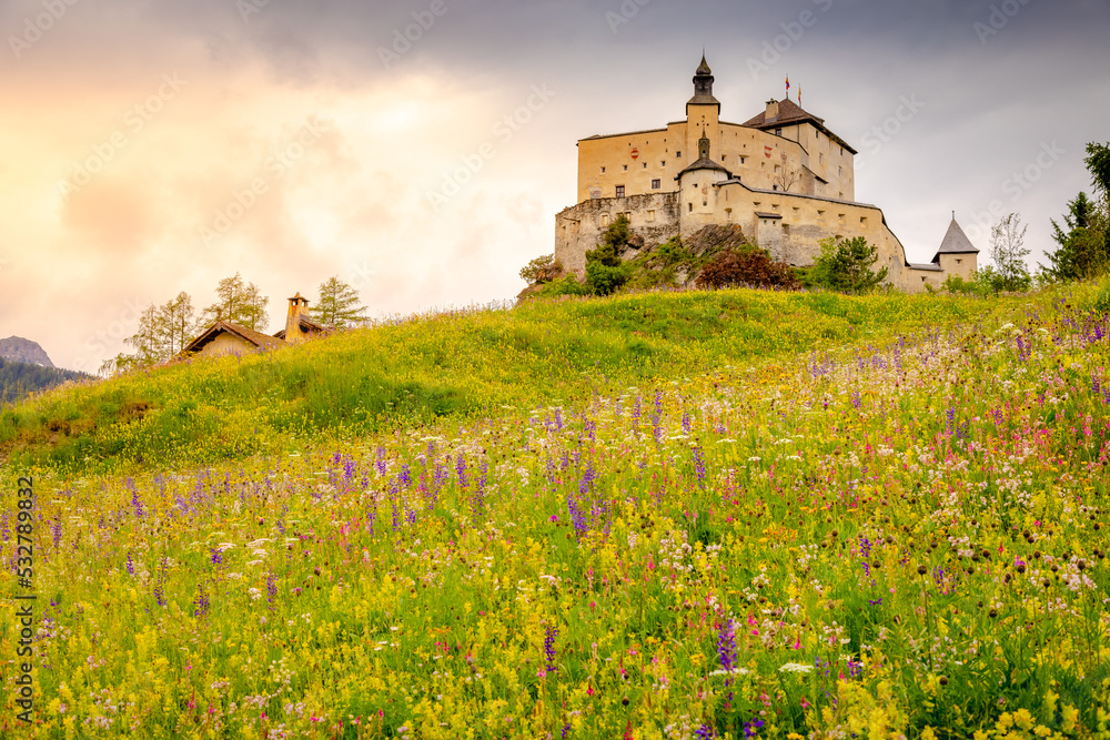 Tarasp with colorful wildflowers and meadows at springtime, Engadine, Swiss Alps Tarasp with colorful wildflowers and meadows at springtime, Engadine, Swiss Alps