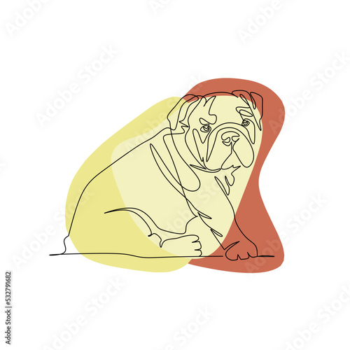 illustration of a french bulldog