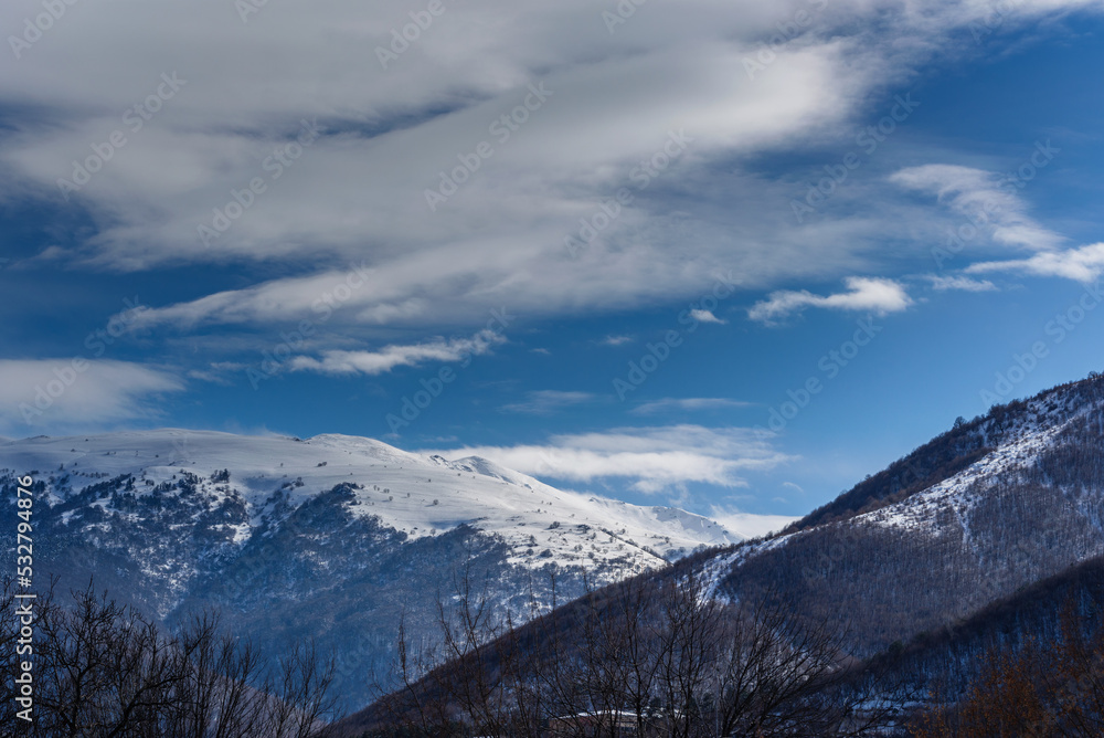 Sunny winter scene with forest mountains