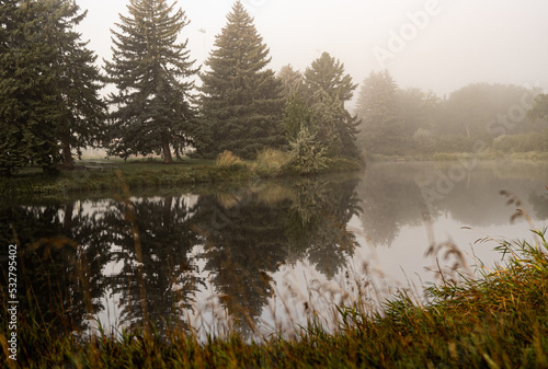 Pond with Wildlife and Fog (11)
