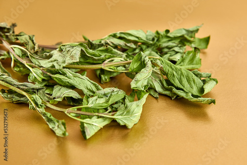 Sprigs of mint drying on an orange background. Drying and storage of plants.
