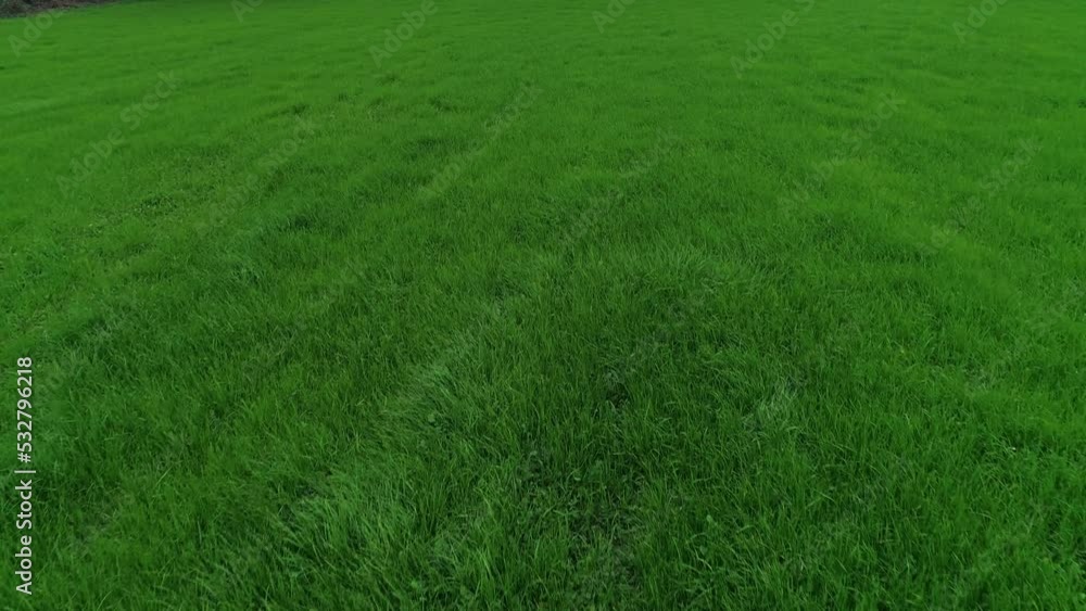 Green Grass Aerial View. Nature Background Green Grass Aerial View. Nature Background