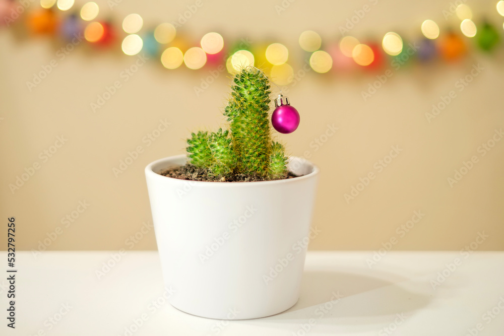 A cactus in a pot decorated with a Christmas ball on a background of blurred bokeh lights. An alternative to the Christmas tree. New Year's preparations and decorations for the holiday A cactus in a pot decorated with a Christmas ball on a background of blurred bokeh lights. An alternative to the Christmas tree. New Year's preparations and decorations for the holiday