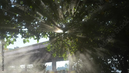 sunshine. beautiful effect of steam in the sun's rays. sun rays through the leaves of a tree. 4k video.