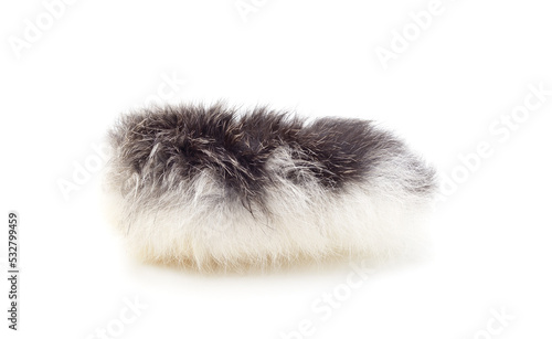 A ball of fur.