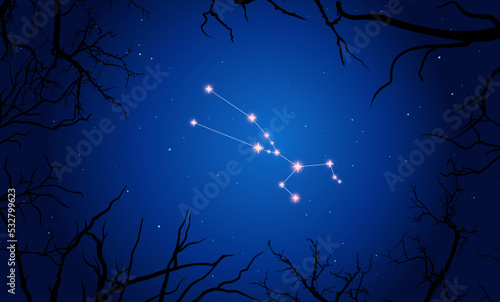 Illustration constellation Taurus  starry sky  spooky tree branches.Constellation scheme collection