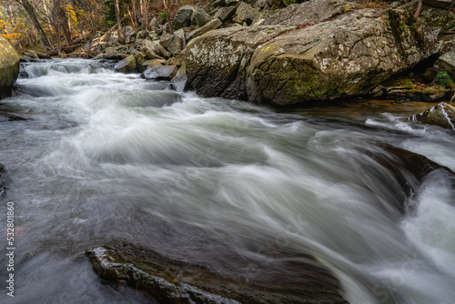 stream in the forest