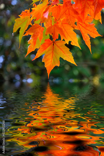 Fall Abstract 02