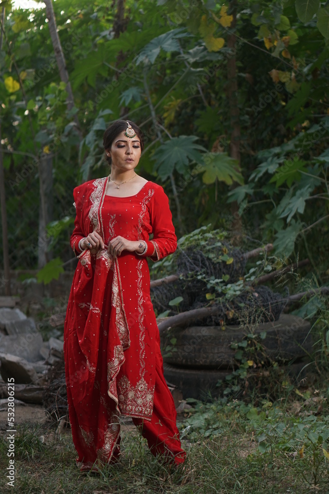 punjabi girl wearing traditional dress Stock Photo | Adobe Stock