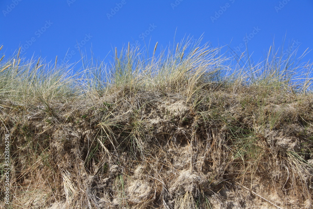Fototapeta premium Dune at the Lister beach on Sylt